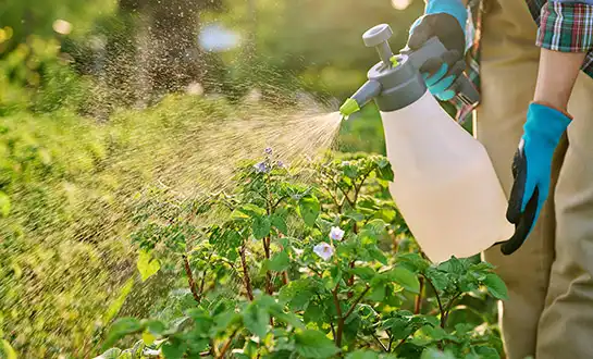 Choosing the Right Plant Fertilizer for Modern Stress Conditions